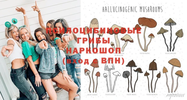 спиды Беломорск