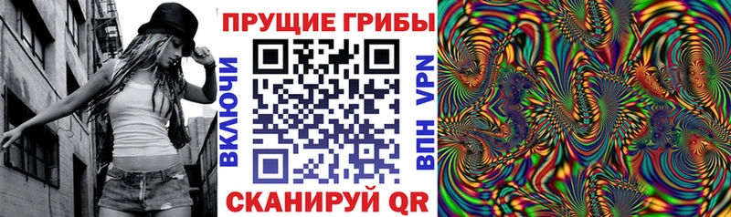 omg как войти  купить наркоту  Новоржев  Псилоцибиновые грибы Psilocybine cubensis 